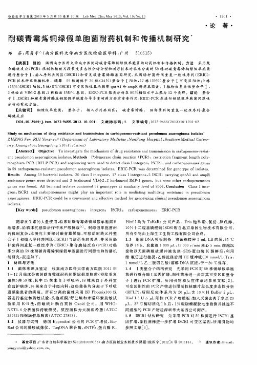耐碳青霉烯铜绿假单胞菌耐药机制和传播机制研究
