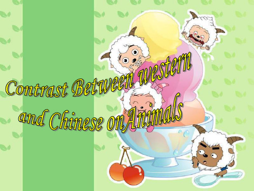 动物在中西方象征意义英文
