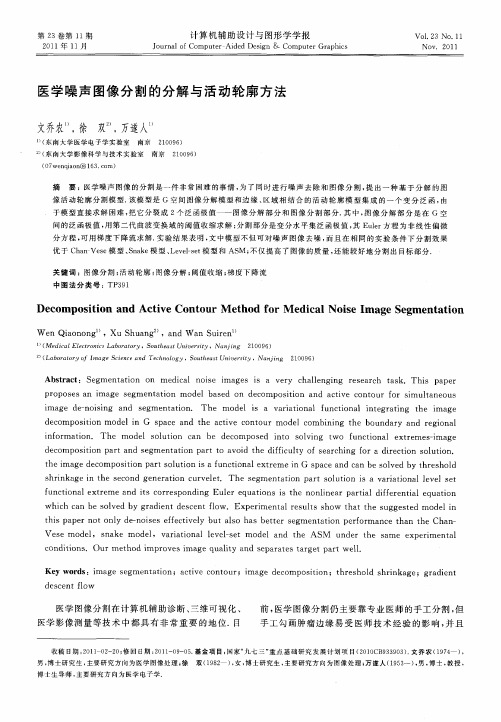 医学噪声图像分割的分解与活动轮廓方法