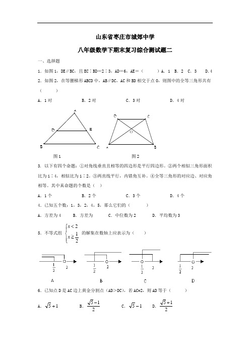山东枣庄城郊中学八年级下期末复习综合测试试卷二-数学
