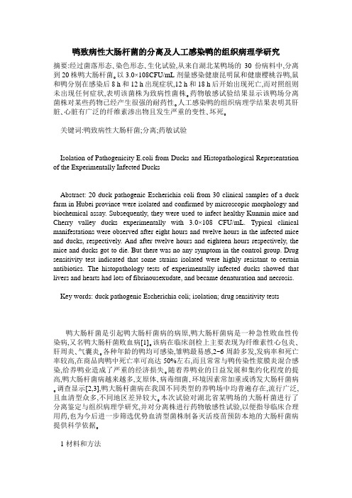 鸭致病性大肠杆菌的分离及人工感染鸭的组织病理学研究