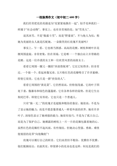 一枝独秀作文(初中初二600字).doc