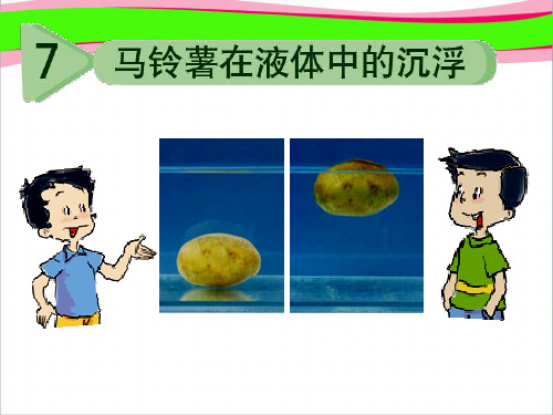 7马铃薯在液体中的沉浮-研究性课件   大赛获奖精美课件PPT