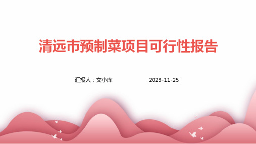 清远市预制菜项目可行性报告