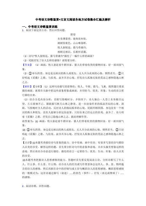 中考语文诗歌鉴赏+文言文阅读各地方试卷集合汇编及解析
