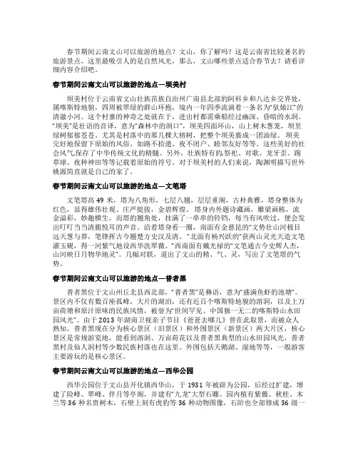 春节期间云南文山可以旅游的地点