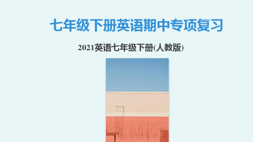 2020-2021学年人教版七年级下册英语期中专项复习课件