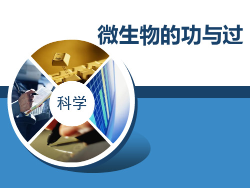 《微生物的功与过》PPT