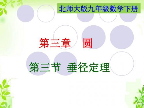 《垂径定理》