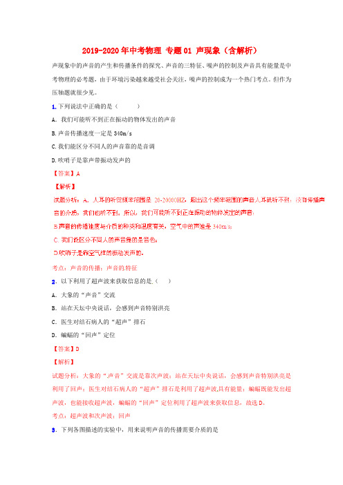 2019-2020年中考物理 专题01 声现象(含解析)