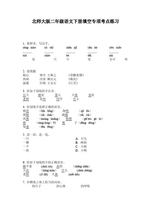 北师大版二年级语文下册填空专项考点练习
