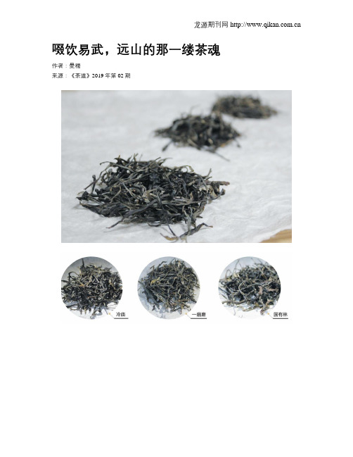 啜饮易武,远山的那一缕茶魂