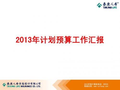 2013年计划预算工作汇报[简易稿]