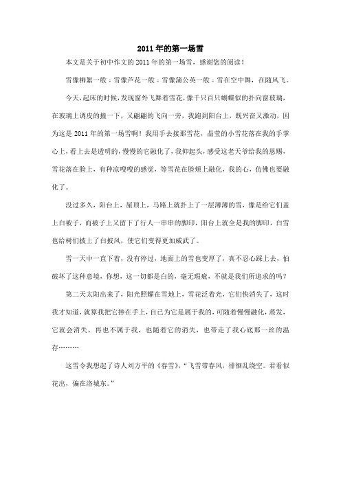 2011年的第一场雪_初中作文