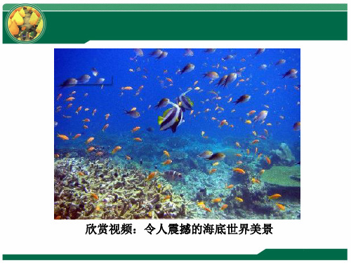 人教版小学一年级美术上册 《鱼儿游游》精品课件