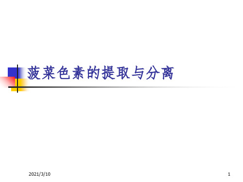 菠菜色素的提取与分离课件PPT