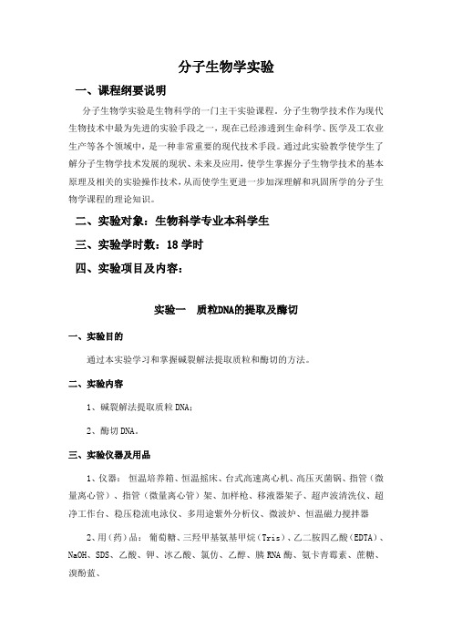 现代分子生物学实验