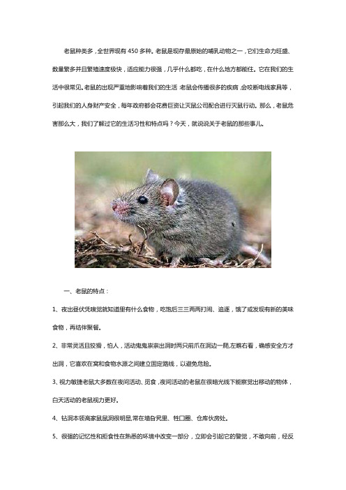 老鼠的生活习性和特点是什么