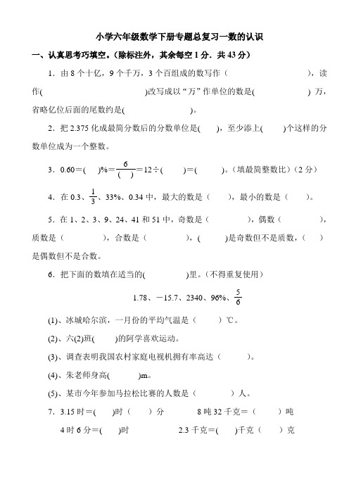 小学六年级数学下册专题总复习