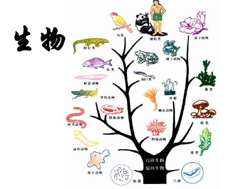 高中生物必修一第一章第一节--从生物圈到细胞1