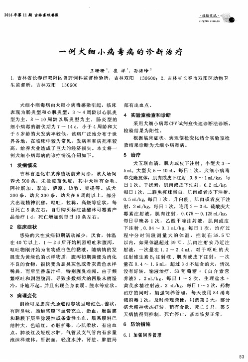一例犬细小病毒病的诊断治疗