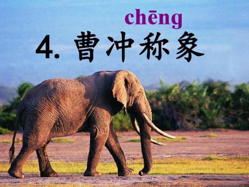 4 曹冲称象