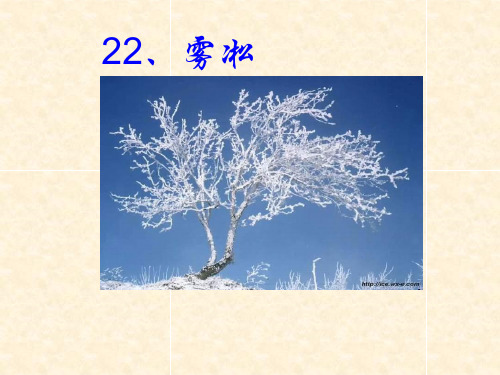 最新小学语文四年级23《雾凇》ppt课件2优质精品课件