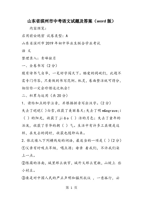 山东省滨州市中考语文试题及答案(word版)