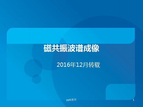 磁共振波普成像  ppt课件
