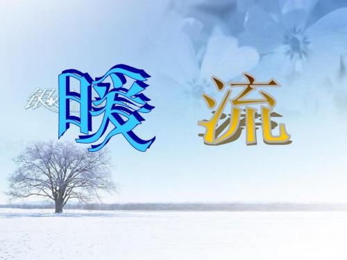 苏教版第十册语文《暖流》ppt课件