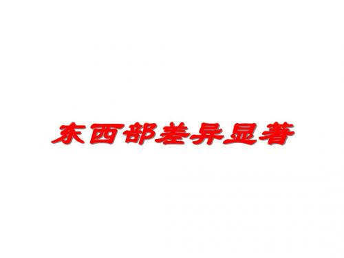 东西部差异显著、交流与互补