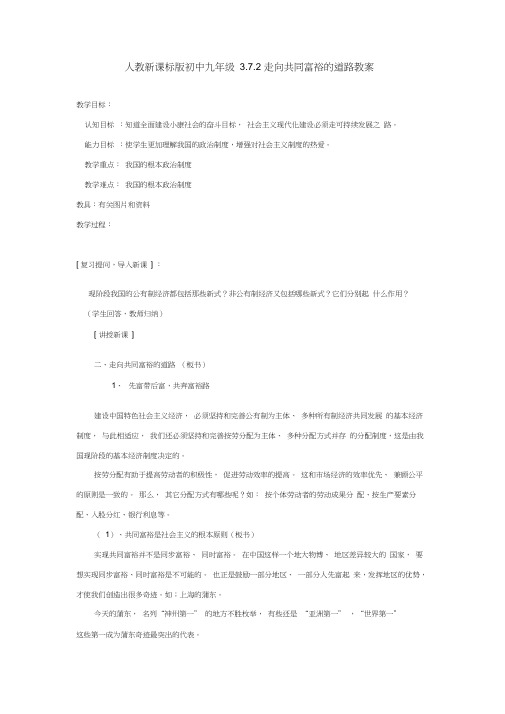 人教新课标版九年级3.7.2走向共同富裕的道路教案