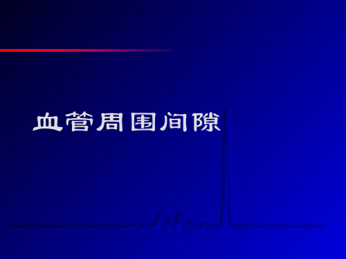 血管周围间隙解剖