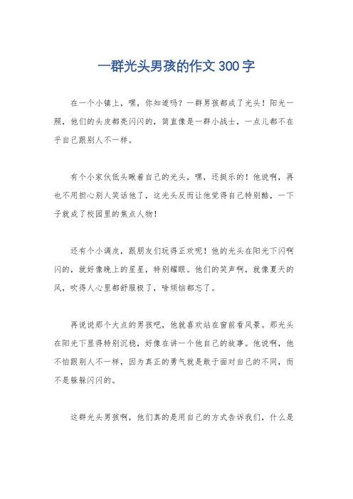 一群光头男孩的作文300字