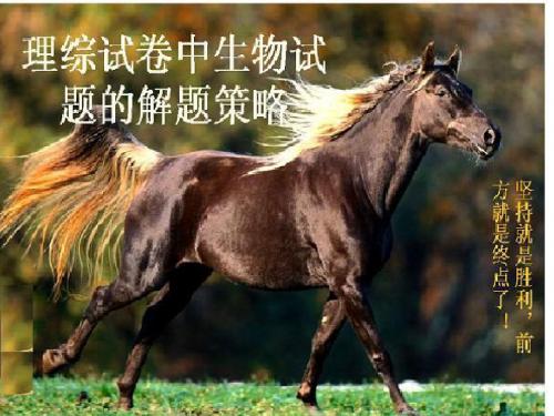 理综试卷中生物试题解题技巧及阅卷老师启示