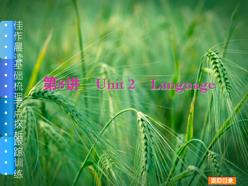 Unit 2 Language课件 牛津译林版课件