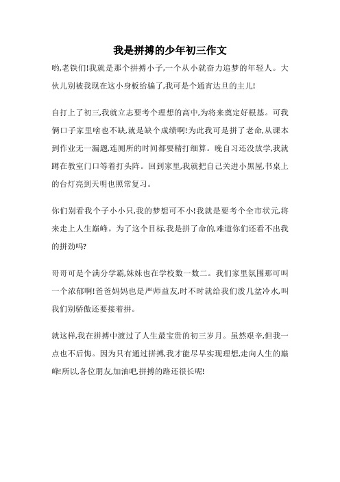 我是拼搏的少年初三作文