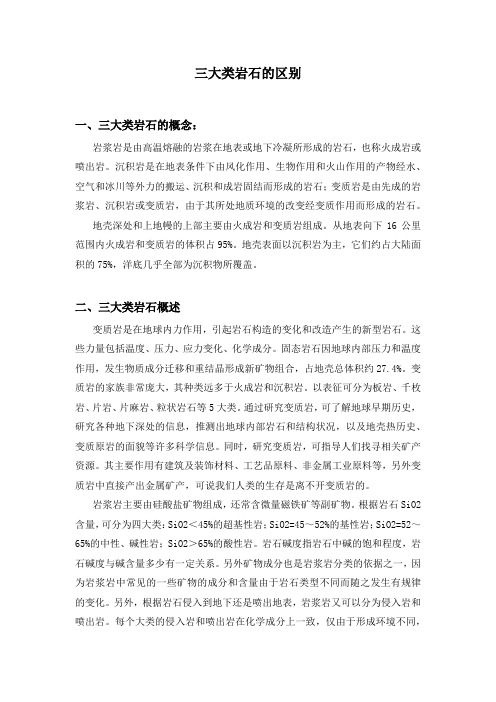(完整版)三大类岩石的区别