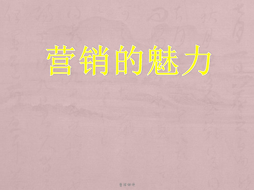 《营销的魅力》