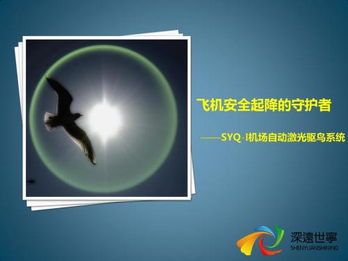 SYQ-I(For民用机场)_