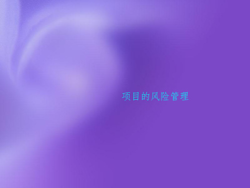 项目的风险管理PPT课件