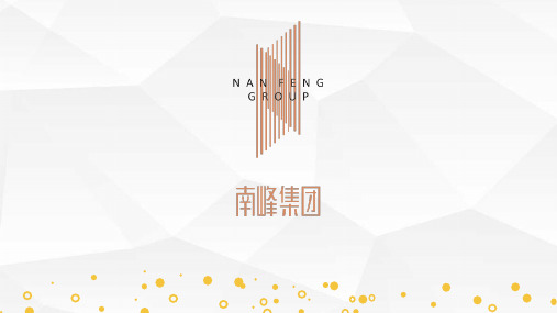 深圳南峰集团实业有限公司企业介绍