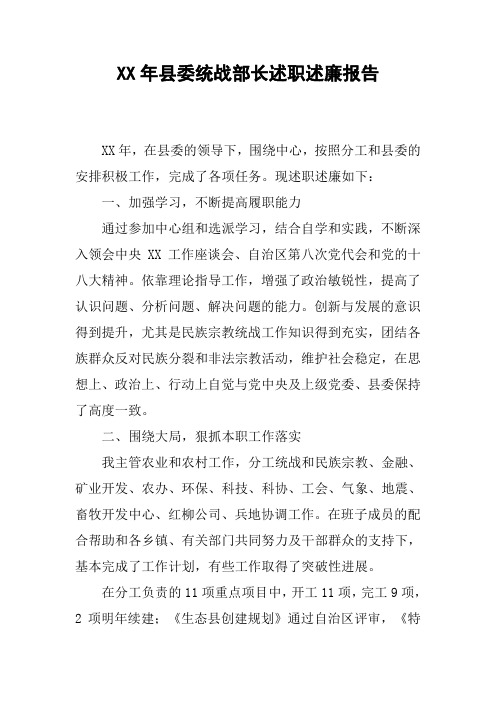 XX年县委统战部长述职述廉报告