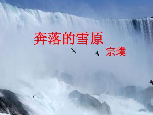 奔落的雪原精美