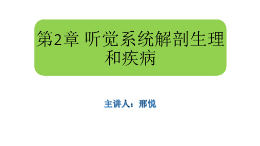 听觉系统解剖