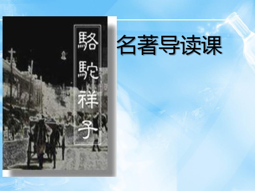 人教版(部编)七年级下册语文：骆驼祥子：圈点与批注