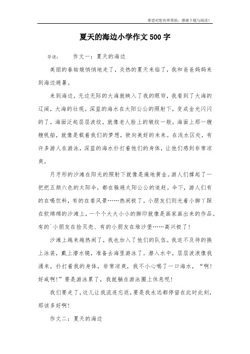 夏天的海边小学作文500字