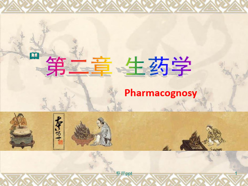 生药中药学