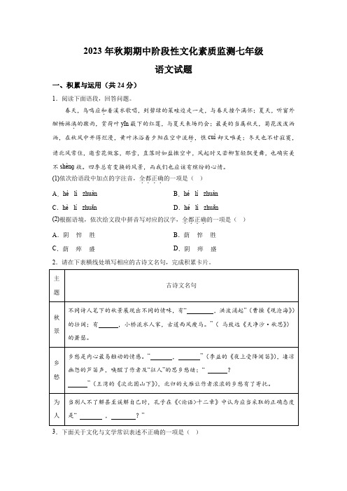 河南省南阳市唐河县2023-2024学年七年级上学期期中语文试题(含解析)
