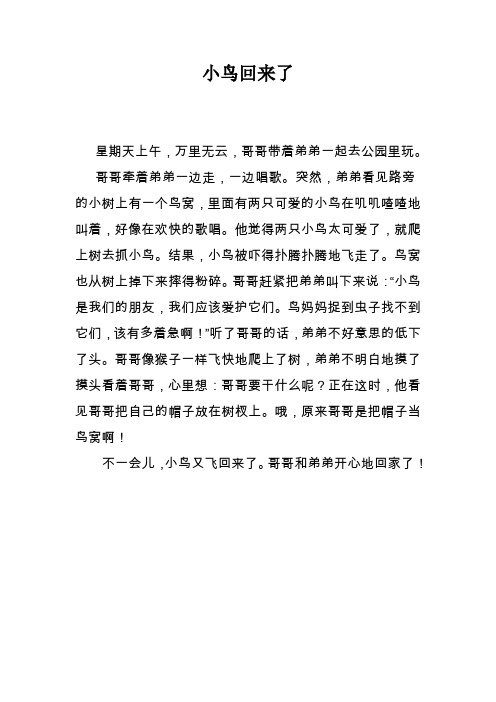 小鸟回来了